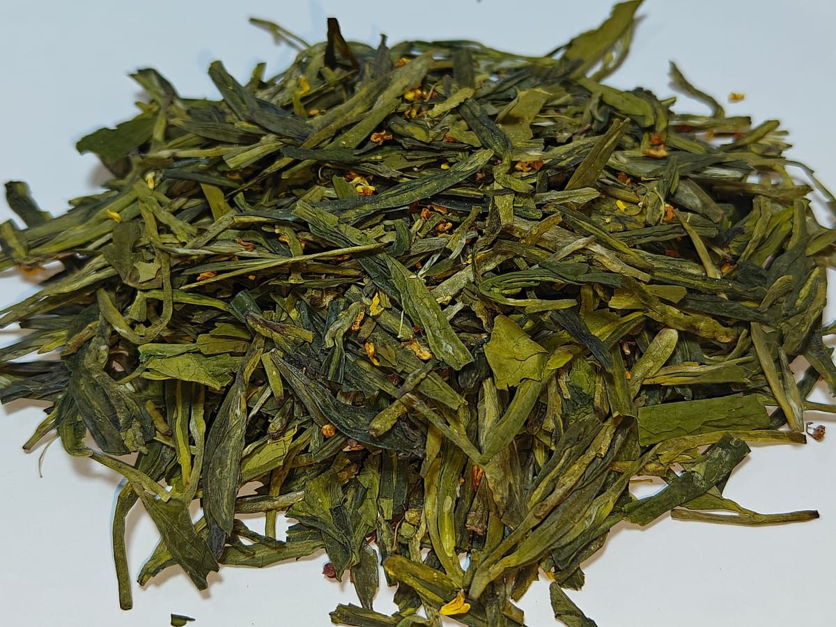 Osmanthus Longjing green tea loose leaf for premium tea service in Dubai