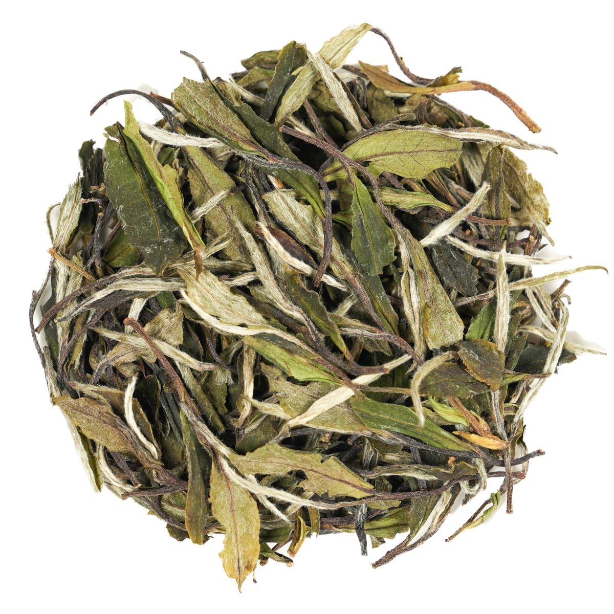 Chinese white tea loose leaf for delicate premium tea menus in Dubai